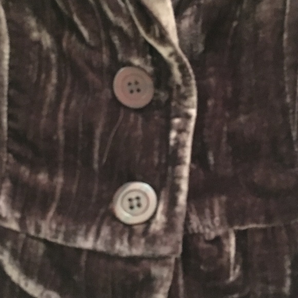 Forever 21 Cocoa Velvet Jacket - Picture 3 of 4